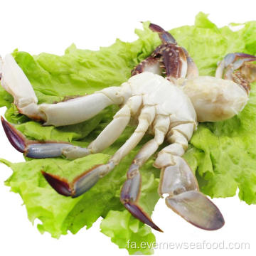 غذاهای دریایی خرچنگ شنا برش یخ زده